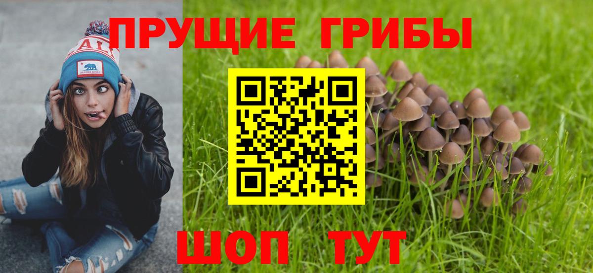 Псилоцибиновые грибы мухоморы Фролово